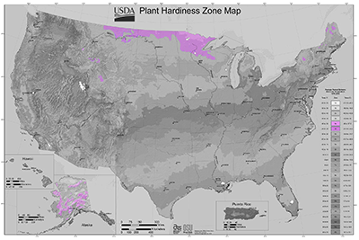 zone 3 map