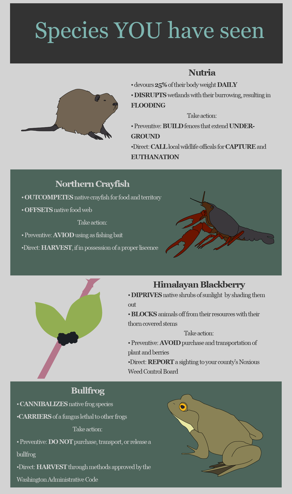 infographic of envasive species