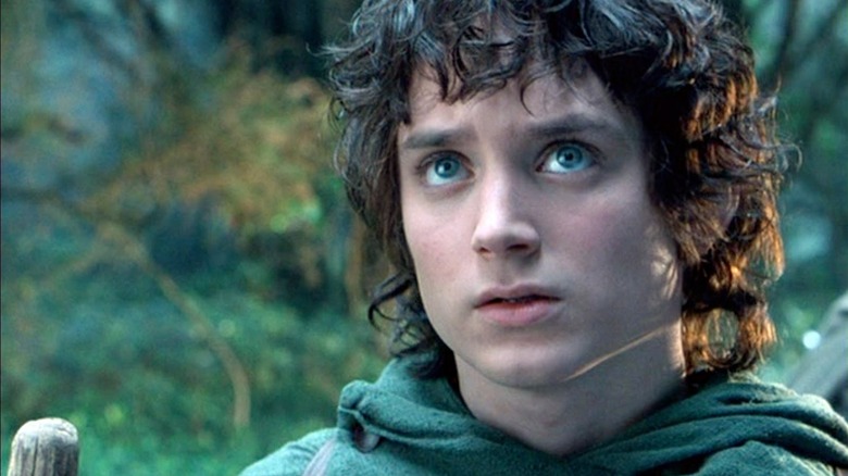 a photo of frodo baggins