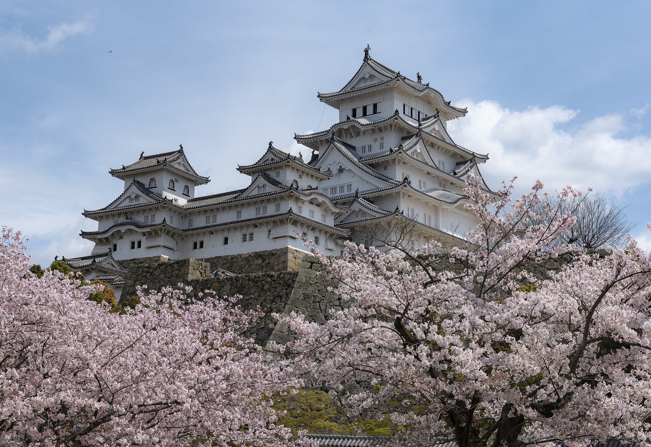 an image of himeji castle in japan with a sakura tree in the forefront taken from the website pixabay